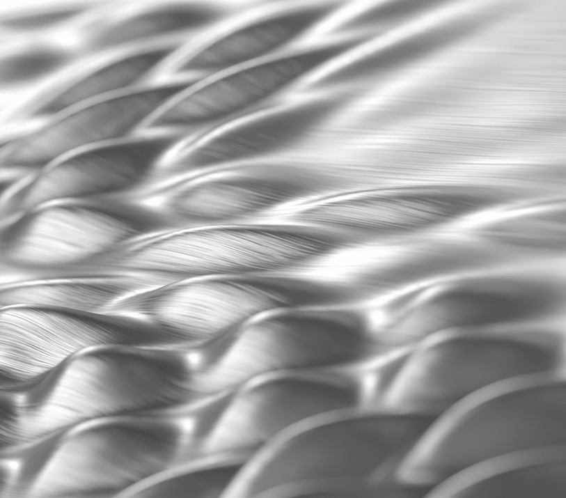 艺术<br>象牙白烤漆门板