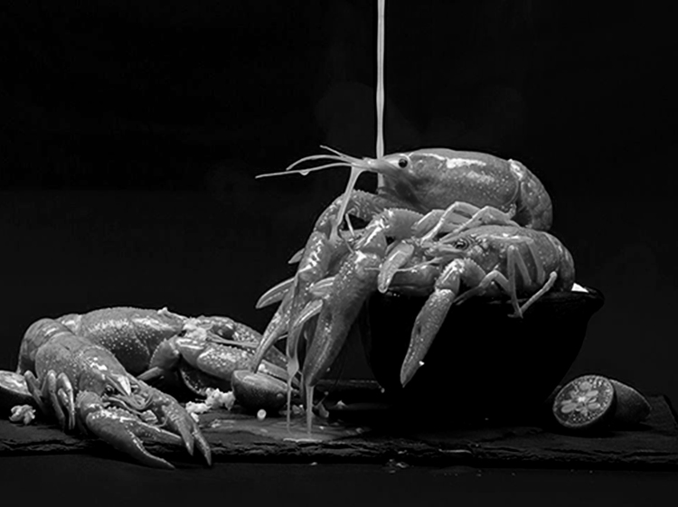 省心之举<br>幸福之选